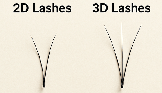 2d vs 3d lashes