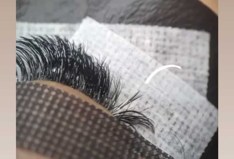 Lash extensions two weeks after the set