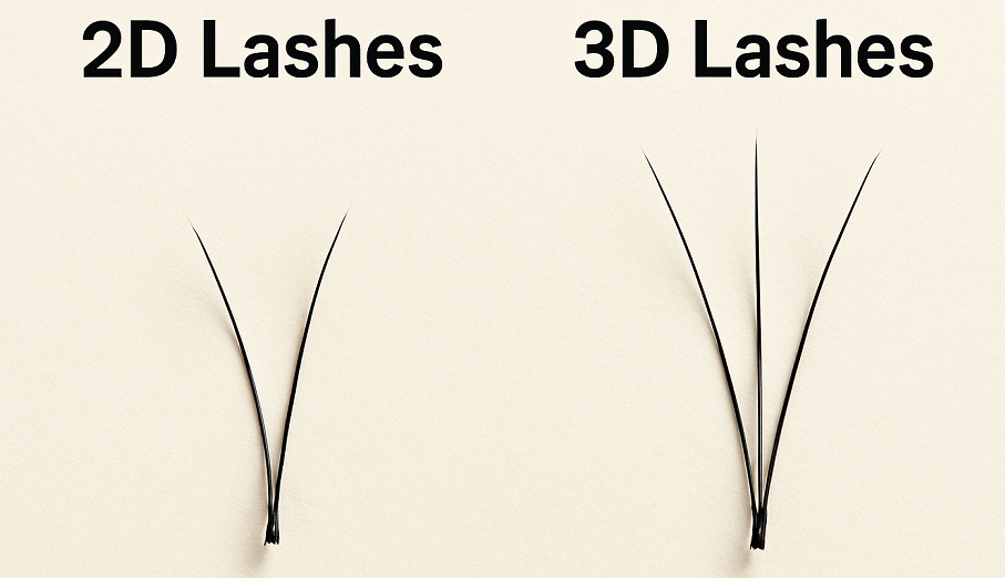 2d vs 3d lashes