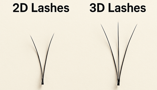 2d vs 3d lashes