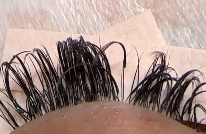 Lash extensions grown out with the natural lashes